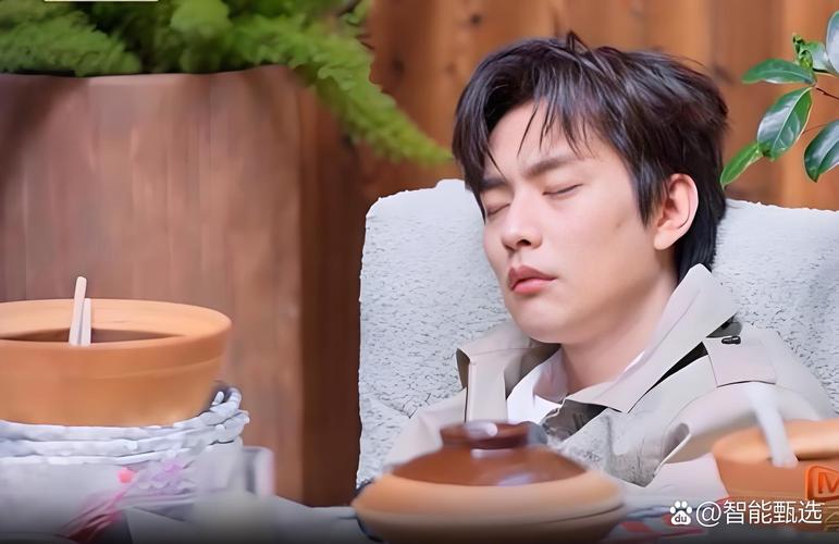 明星综艺_综艺节目毁了演员_明星经历过哪些黑料的综艺节目,