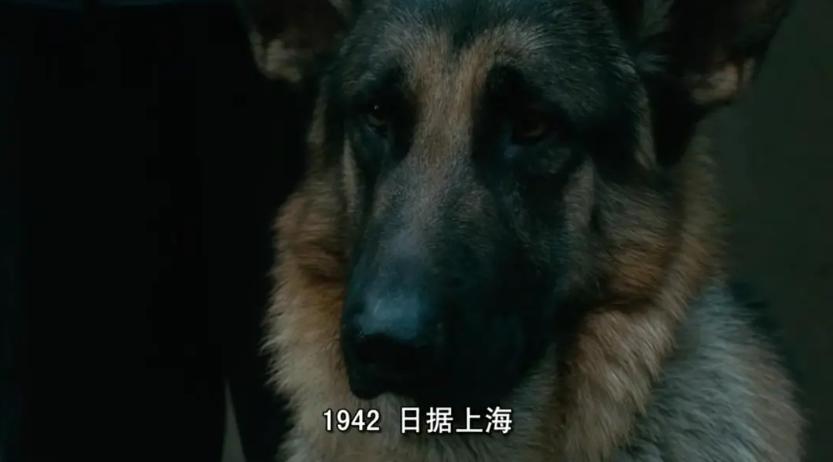 色戒整版手机在线观看_ 王佳芝 戏剧人生 性启蒙 _色戒 张爱玲 李安电影改编 