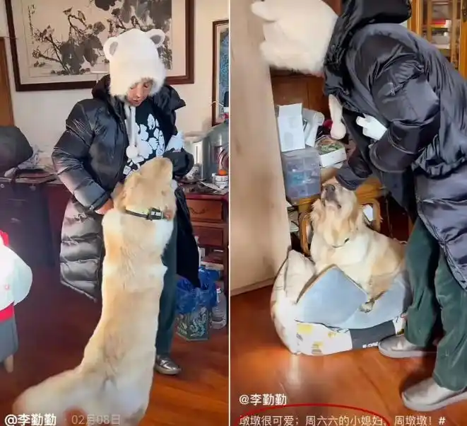 去世女明星名单_缅怀女明星去世消息_女明星死了几个