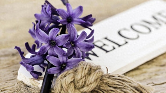 吴霜：直播间里的故事