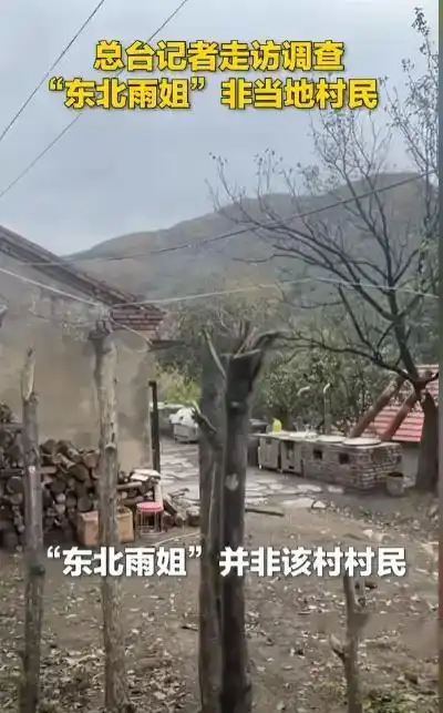 千万网红回村躺平_农村流量真相_女网红回村说八卦是真的吗-