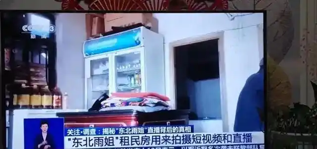 千万网红回村躺平_女网红回村说八卦是真的吗-_农村流量真相