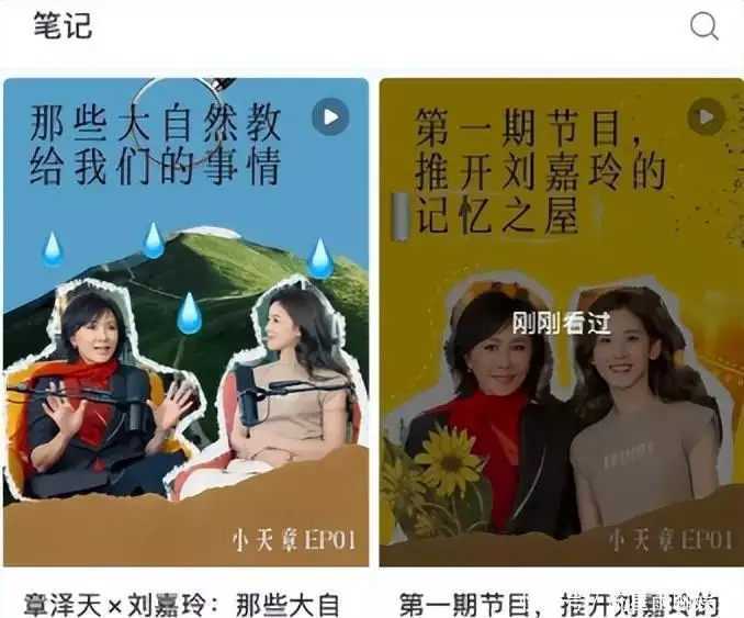 章泽天 娱乐圈_章泽天商业投资布局_章泽天个人博客深度对话